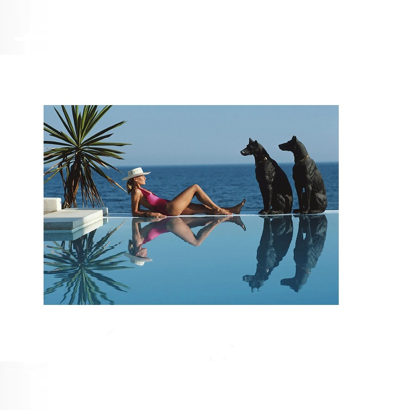 Retro Poolside Host Luxury Lif - Luxury Lifestyle Picture avaliação e preço